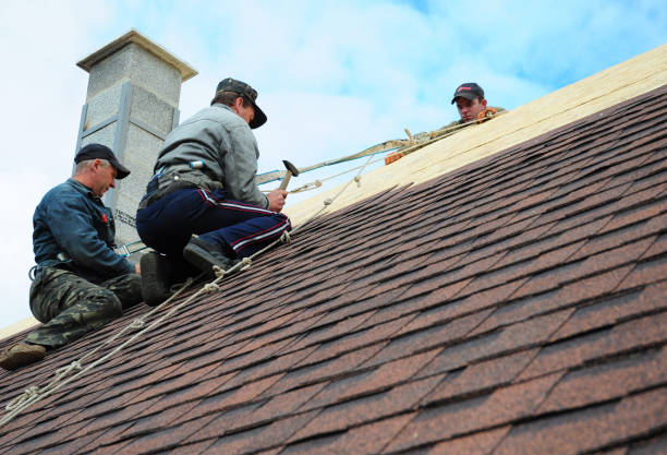 Roof Gutter Cleaning in Lanai City, HI